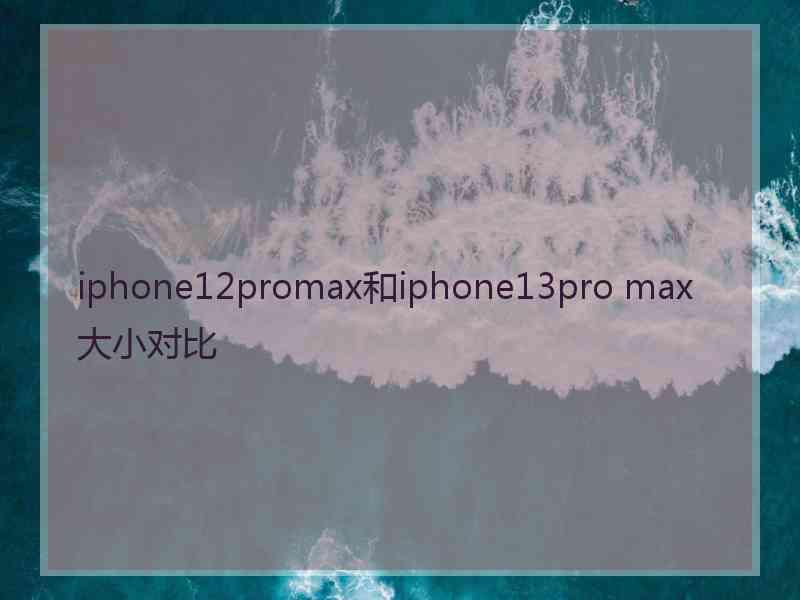 iphone12promax和iphone13pro max大小对比