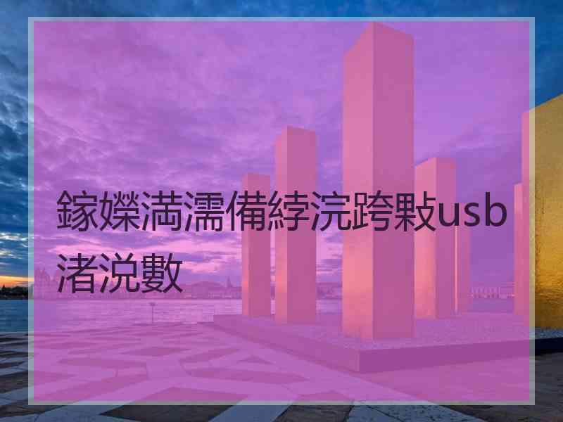 鎵嬫満濡備綍浣跨敤usb渚涚數