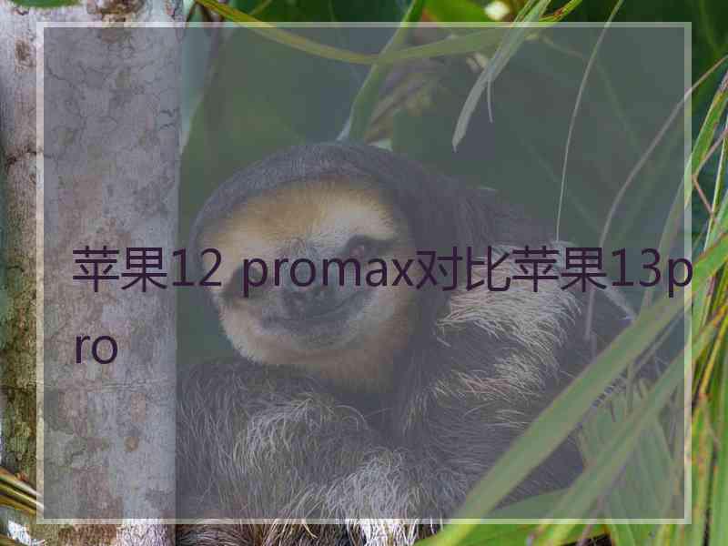 苹果12 promax对比苹果13pro