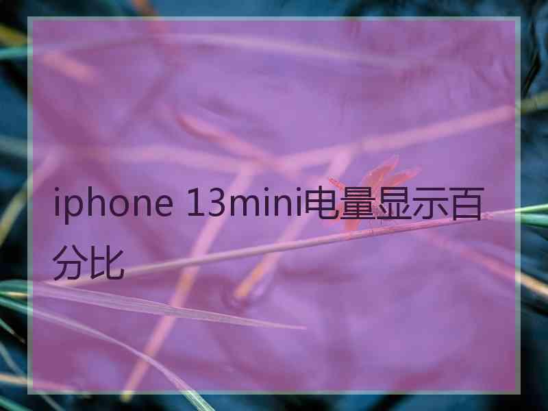 iphone 13mini电量显示百分比