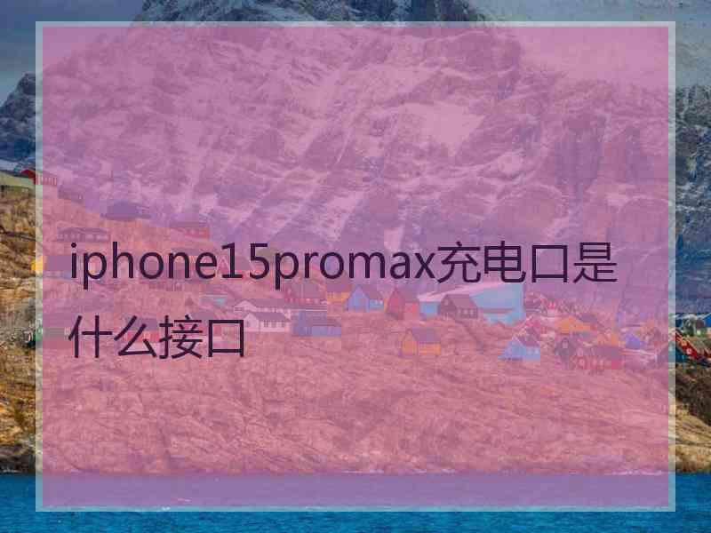 iphone15promax充电口是什么接口