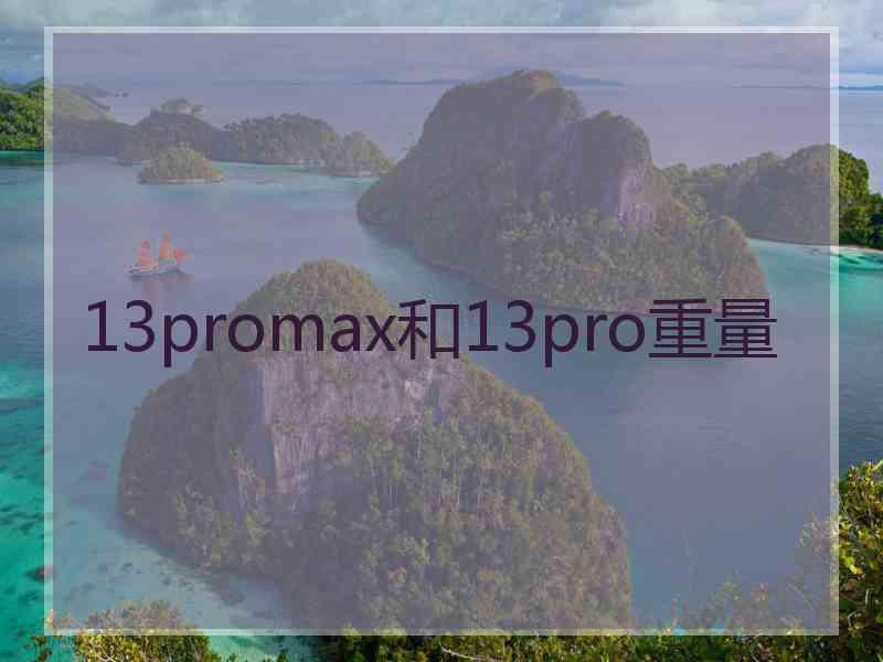 13promax和13pro重量