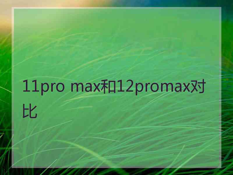 11pro max和12promax对比