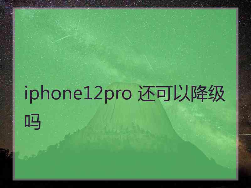 iphone12pro 还可以降级吗