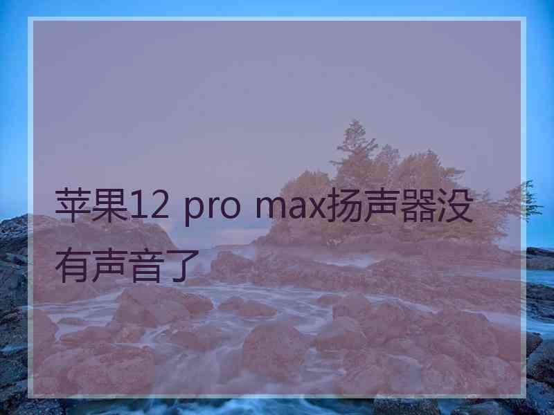 苹果12 pro max扬声器没有声音了