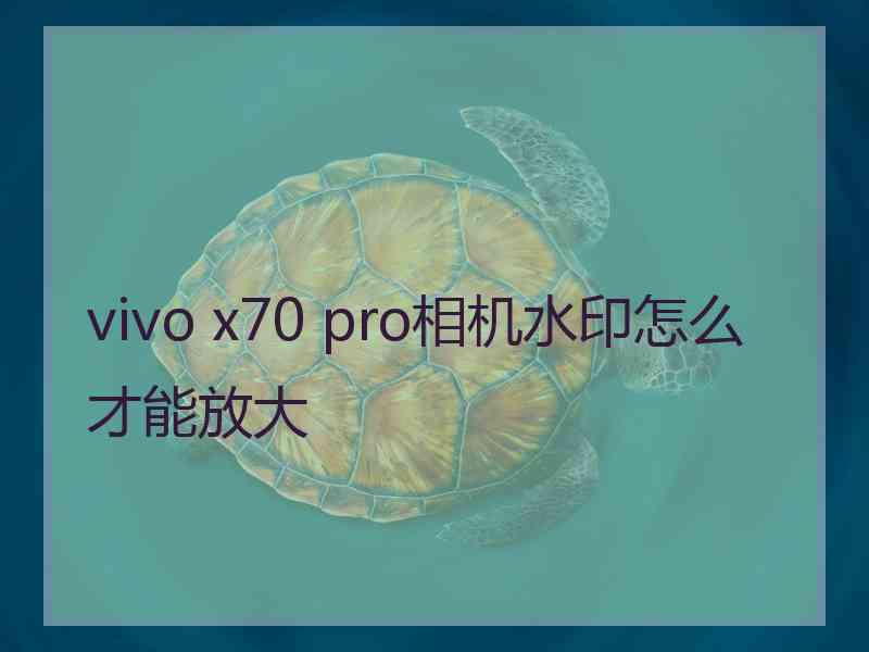 vivo x70 pro相机水印怎么才能放大