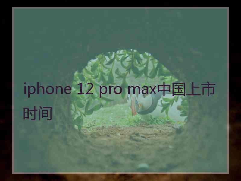 iphone 12 pro max中国上市时间