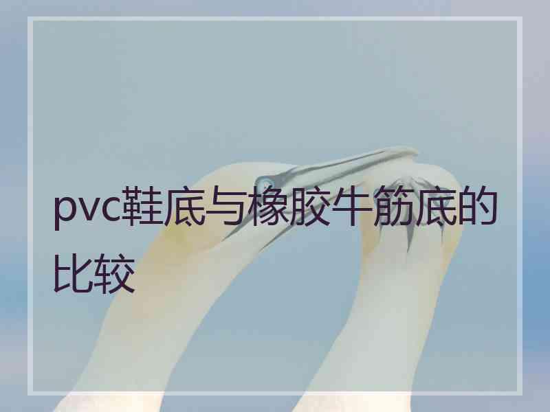 pvc鞋底与橡胶牛筋底的比较