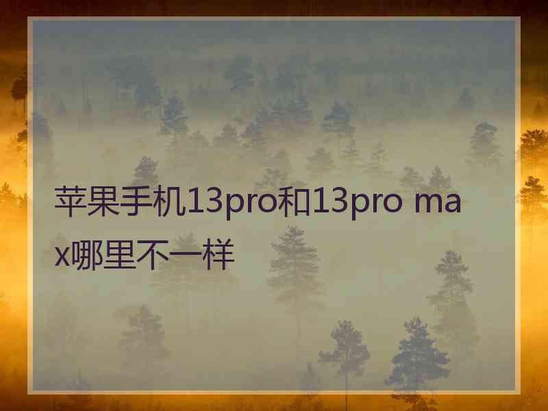 苹果手机13pro和13pro max哪里不一样