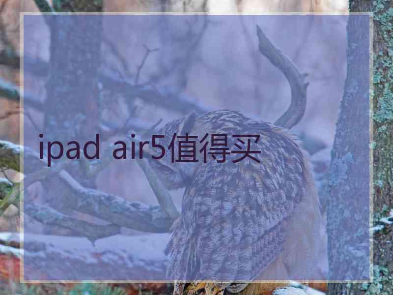 ipad air5值得买