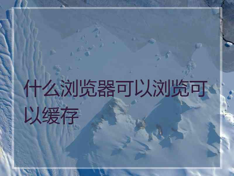 什么浏览器可以浏览可以缓存