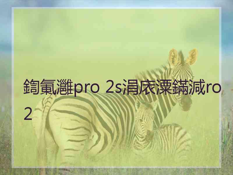 鍧氭灉pro 2s涓庡潥鏋減ro2