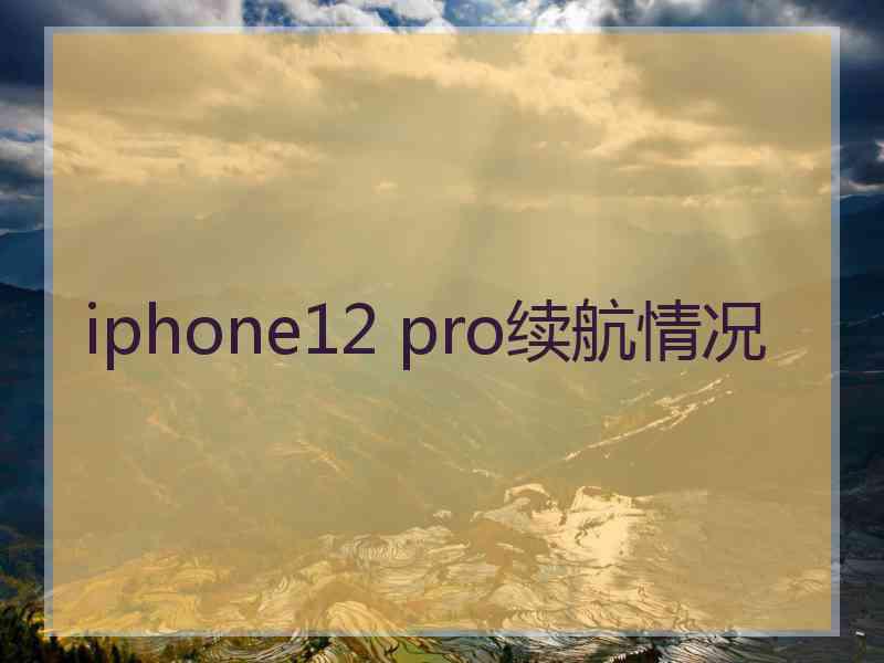 iphone12 pro续航情况