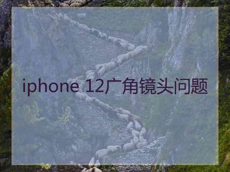 iphone 12广角镜头问题