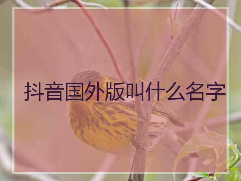 抖音国外版叫什么名字