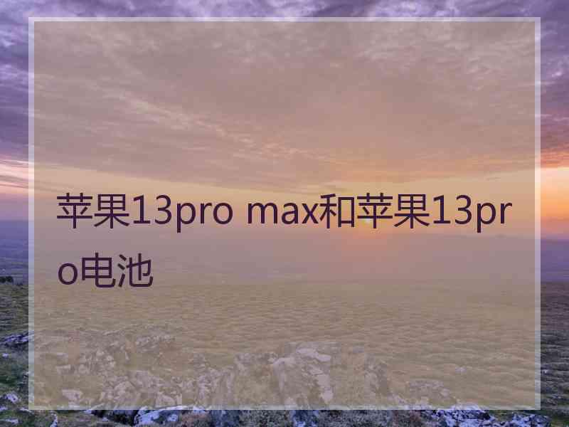 苹果13pro max和苹果13pro电池