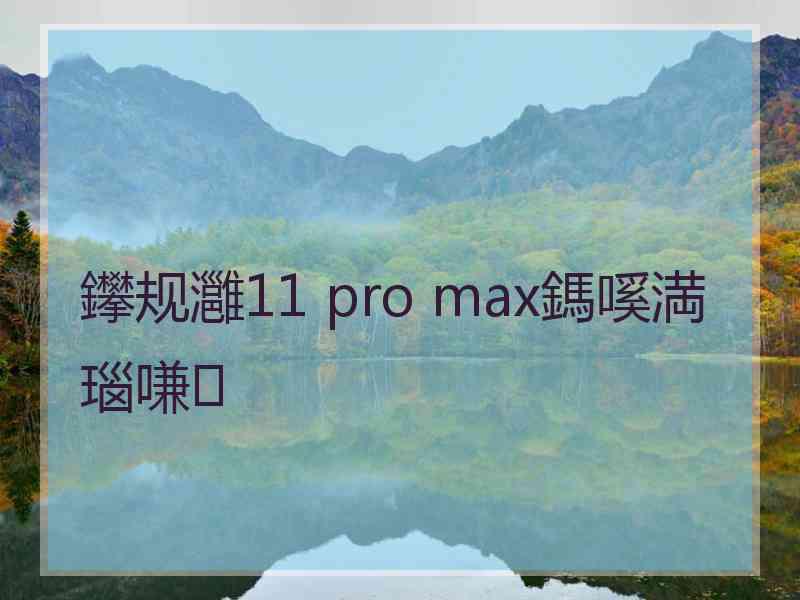 鑻规灉11 pro max鎷嗘満瑙嗛