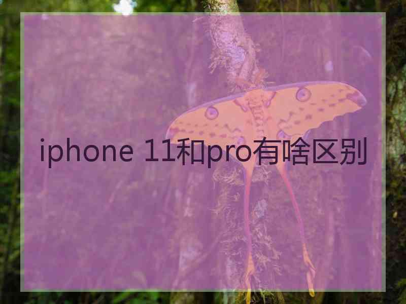 iphone 11和pro有啥区别