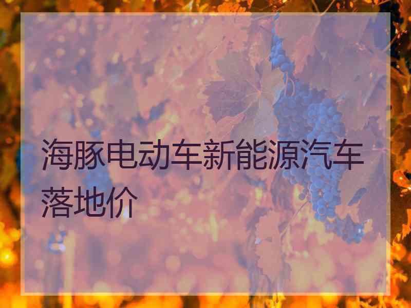 海豚电动车新能源汽车落地价