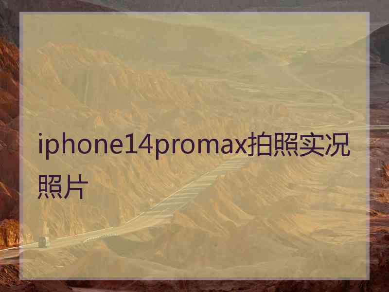 iphone14promax拍照实况照片