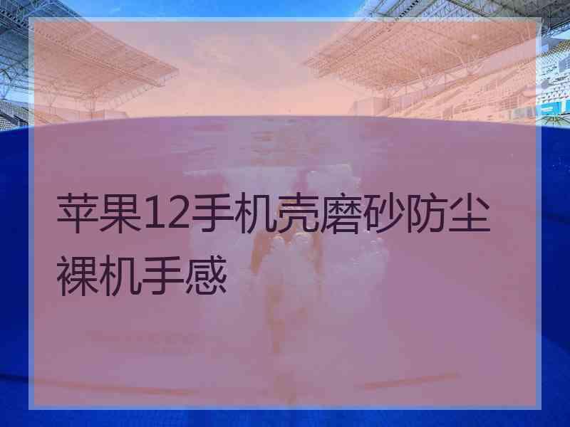 苹果12手机壳磨砂防尘裸机手感