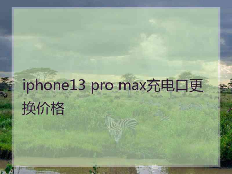 iphone13 pro max充电口更换价格