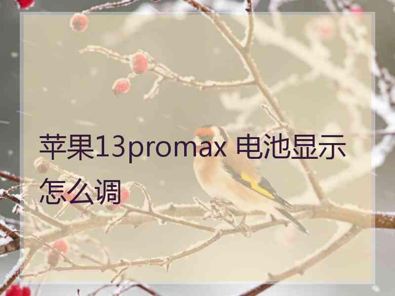 苹果13promax 电池显示怎么调