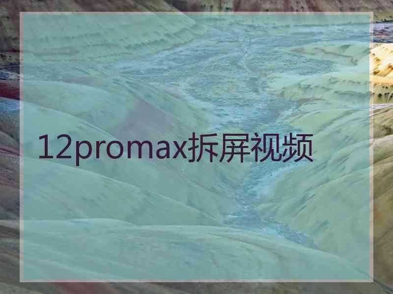 12promax拆屏视频