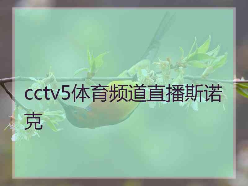 cctv5体育频道直播斯诺克