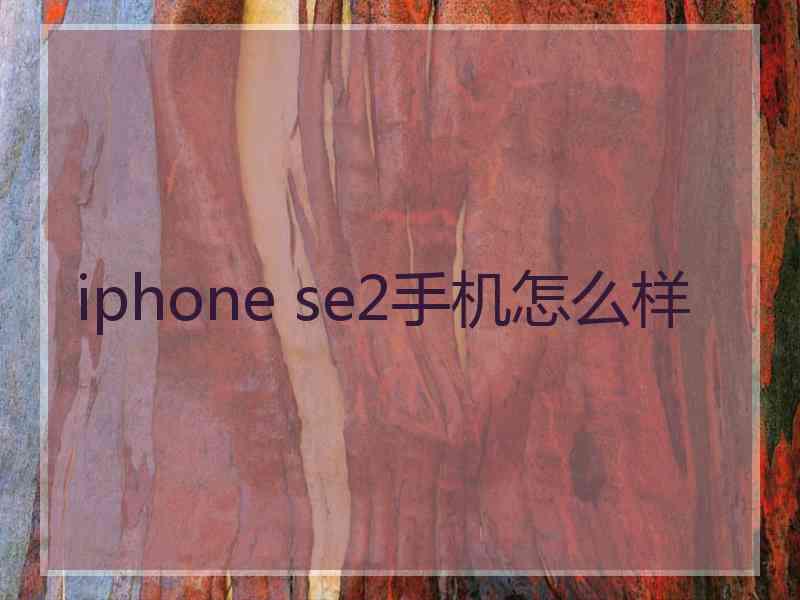 iphone se2手机怎么样