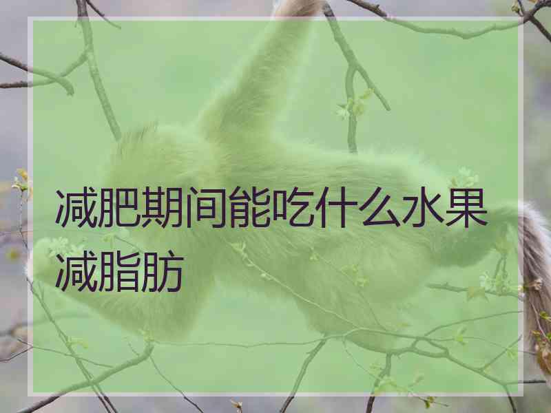 减肥期间能吃什么水果减脂肪