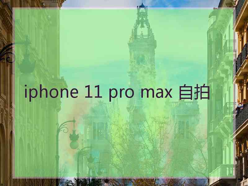 iphone 11 pro max 自拍