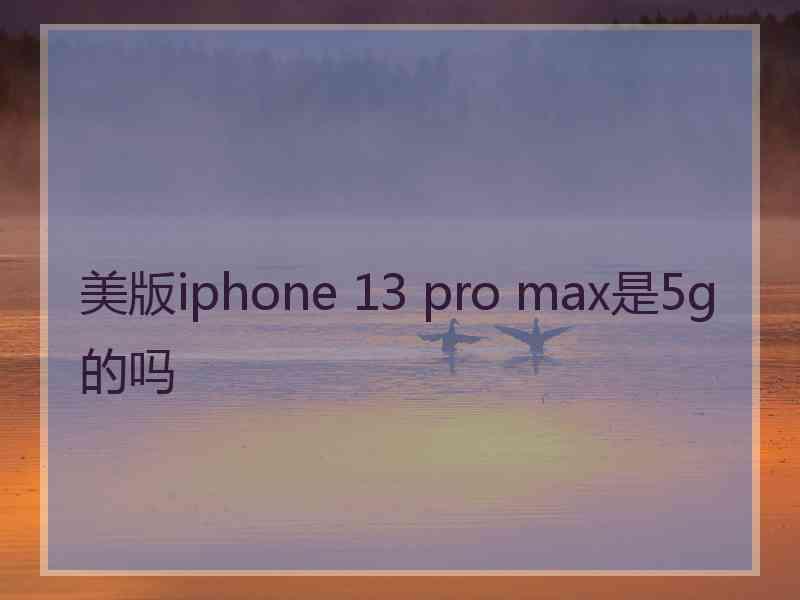 美版iphone 13 pro max是5g的吗