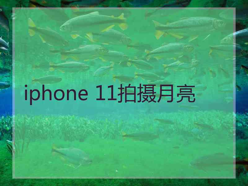 iphone 11拍摄月亮