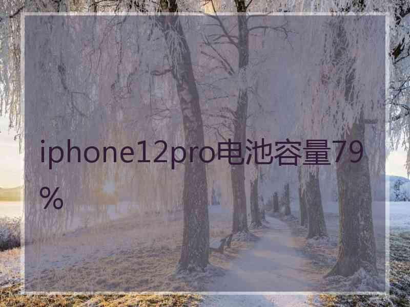 iphone12pro电池容量79%