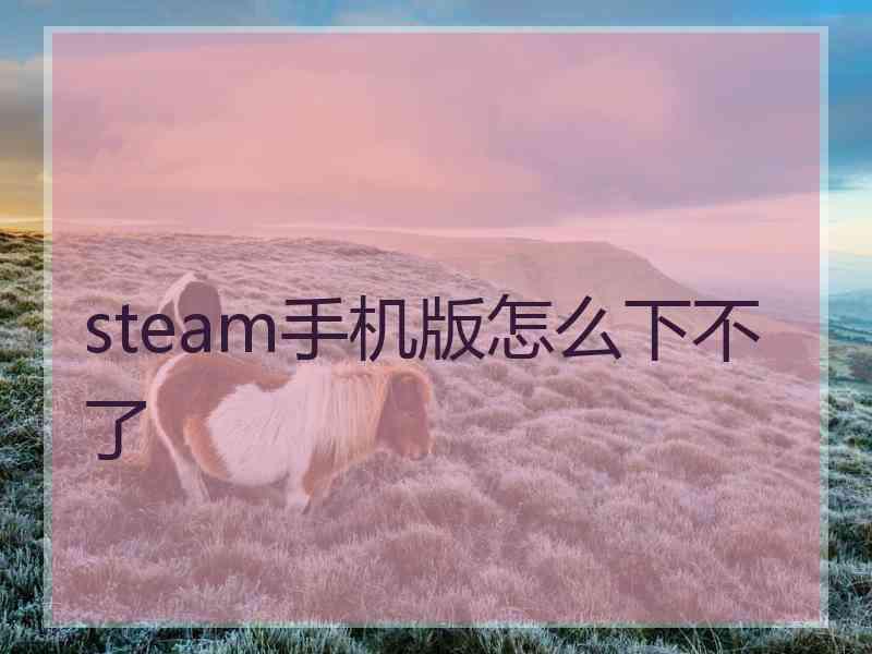 steam手机版怎么下不了