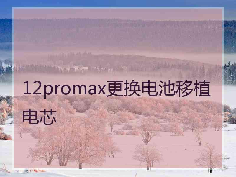 12promax更换电池移植电芯