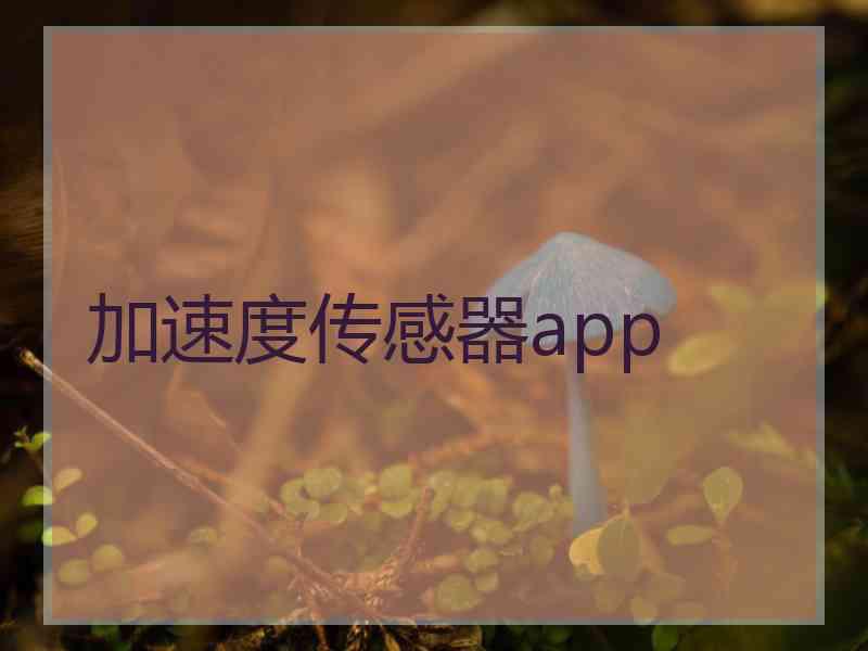 加速度传感器app