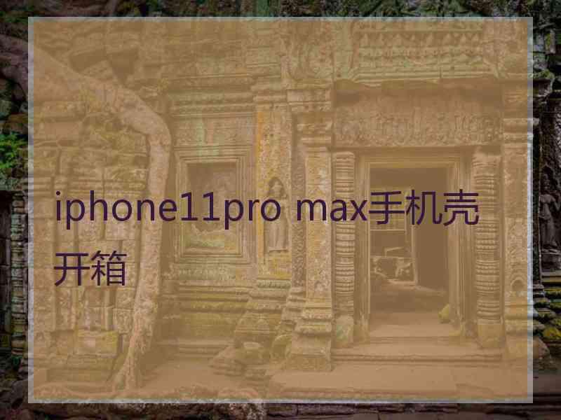 iphone11pro max手机壳开箱