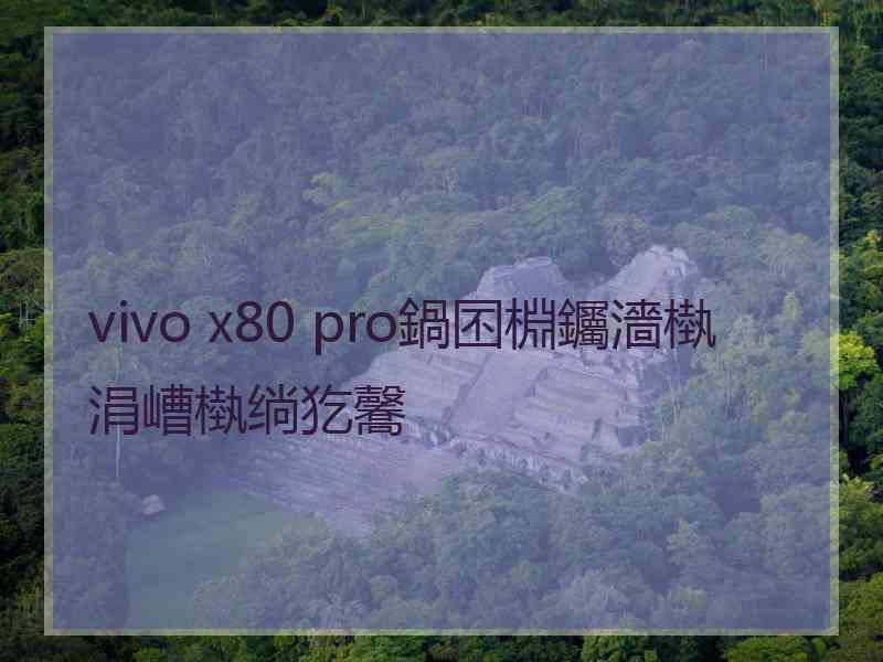 vivo x80 pro鍋囨棩钃濇槸涓嶆槸绱犵毊