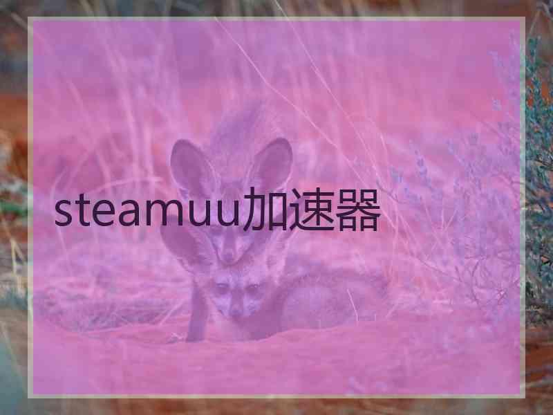 steamuu加速器