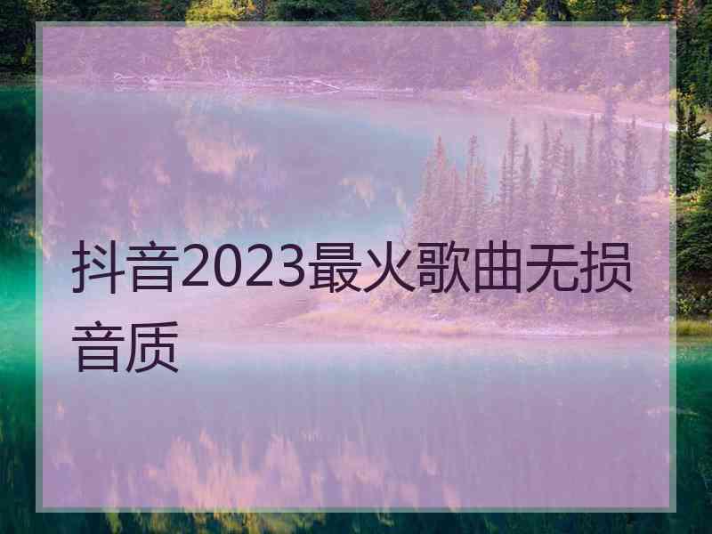 抖音2023最火歌曲无损音质