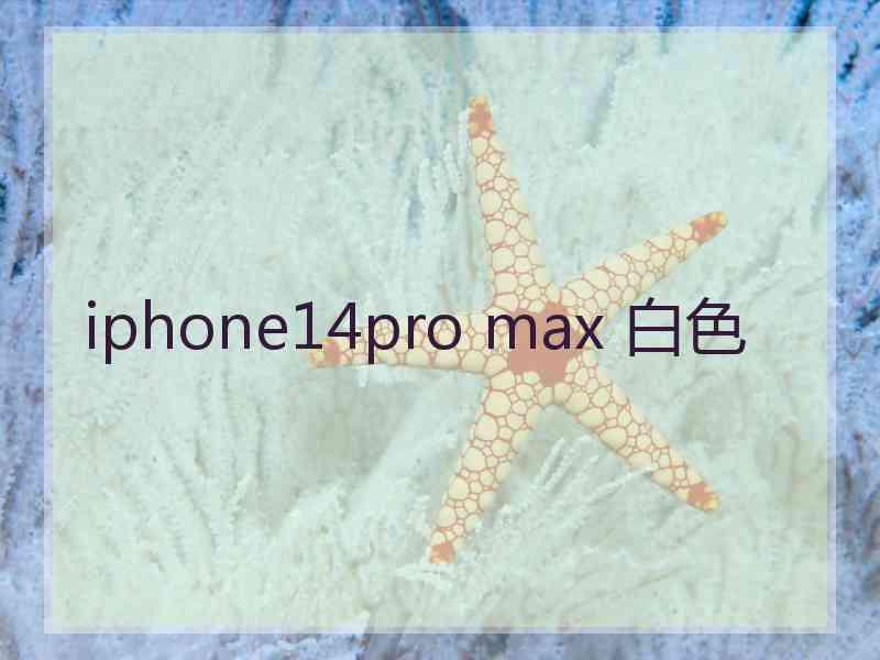 iphone14pro max 白色