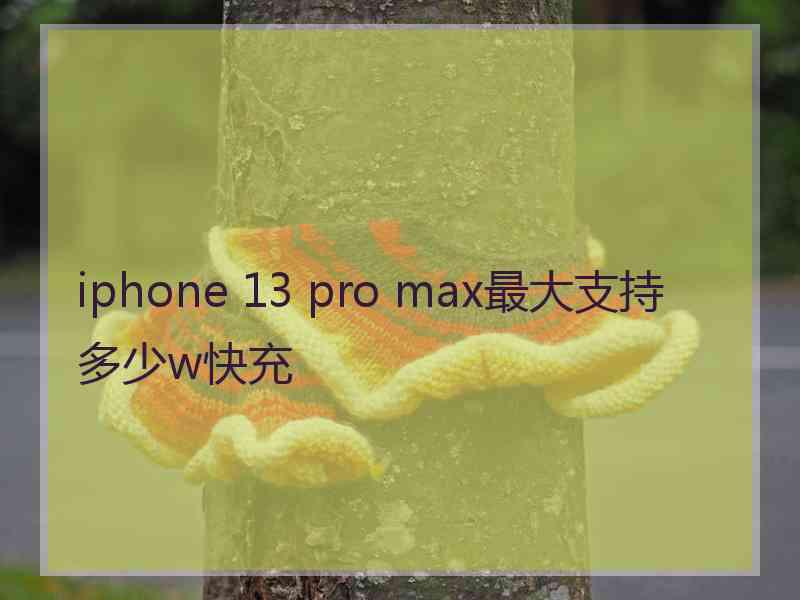 iphone 13 pro max最大支持多少w快充