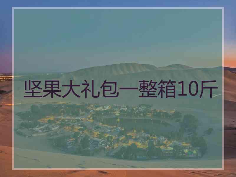 坚果大礼包一整箱10斤