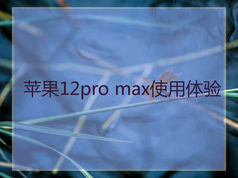 苹果12pro max使用体验