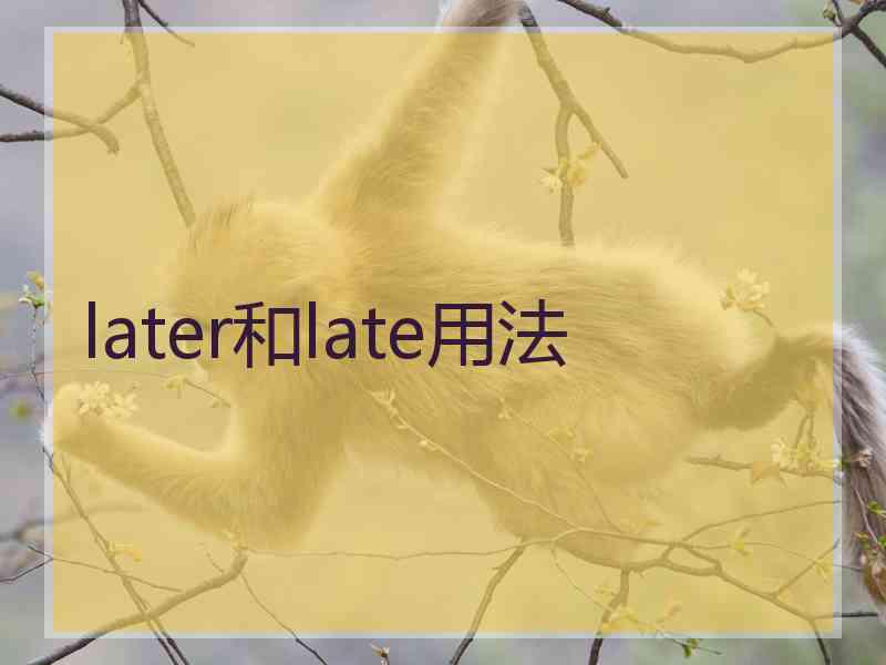 later和late用法