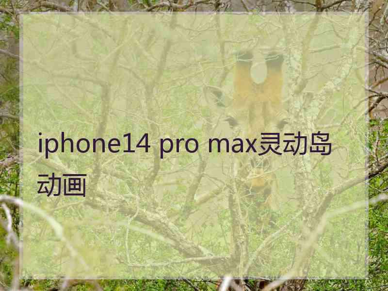 iphone14 pro max灵动岛动画