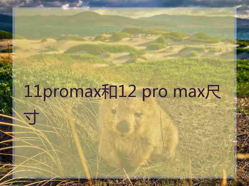 11promax和12 pro max尺寸