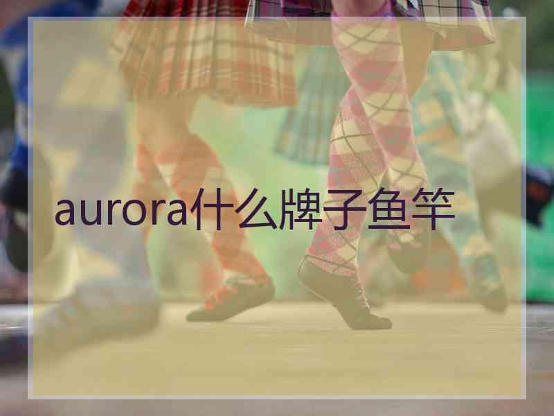 aurora什么牌子鱼竿